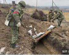 九游体育官网-郑钦文退出斯图加特赛